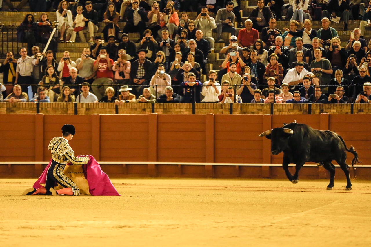 Sevilla, 7 de junio de 2018.
