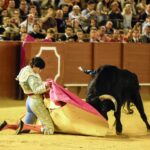 Sevilla, 7 de junio de 2018.