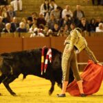 Sevilla, 7 de junio de 2018.