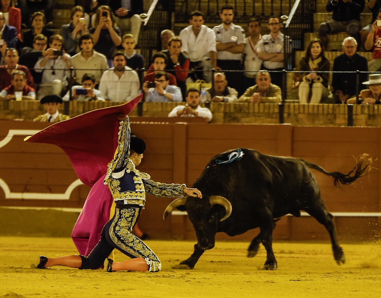 Sevilla, 7 de junio de 2018.