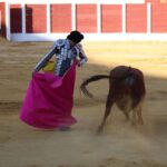 Antequera (Málaga) - Corrida de toros - Sábado 2 de junio de 2018