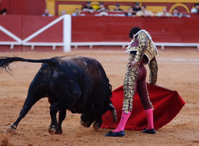 Algeciras, Feria Real, 27 de junio de 2018