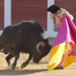 Albacete - Corrida de ASPRONA - Sábado 16 de junio de 2018