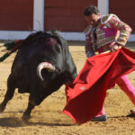 Albacete - Corrida de ASPRONA - Sábado 16 de junio de 2018