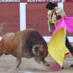 Albacete - Corrida de ASPRONA - Sábado 16 de junio de 2018