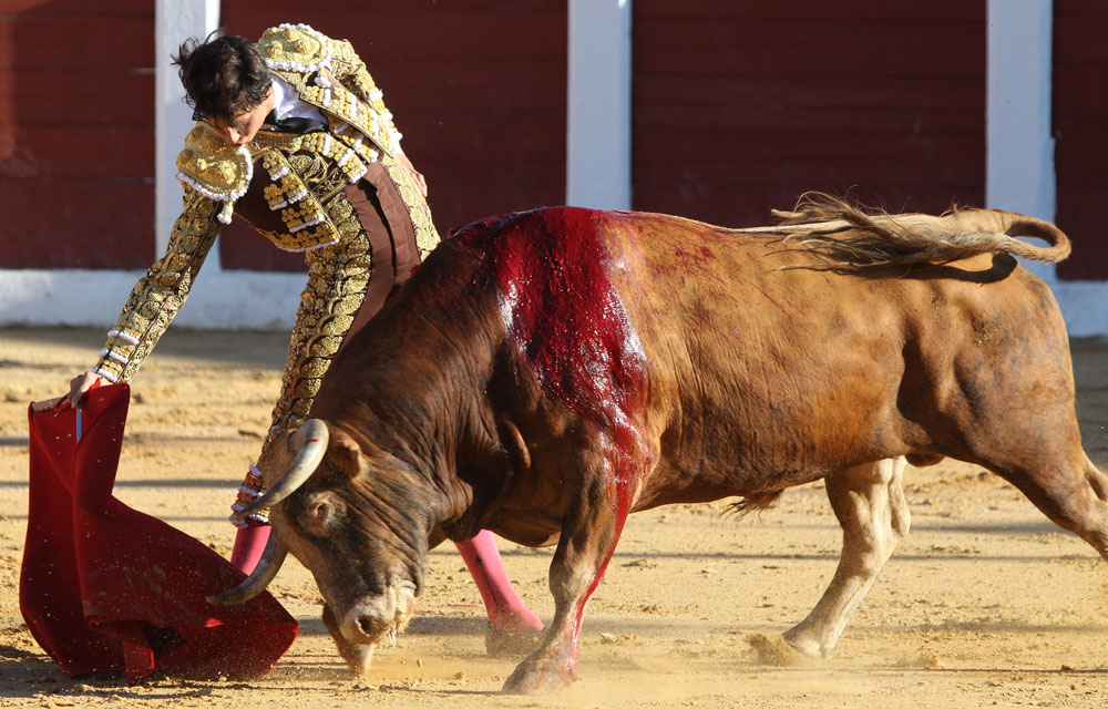 Albacete - Corrida de ASPRONA - Sábado 16 de junio de 2018