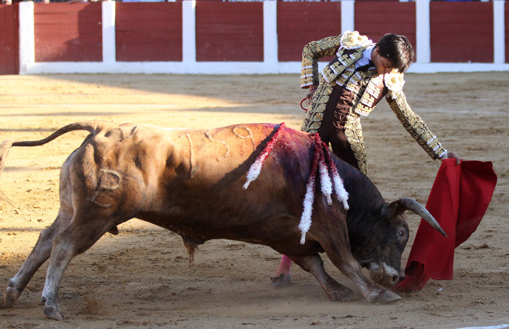Albacete - Corrida de ASPRONA - Sábado 16 de junio de 2018