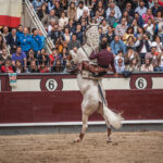 Madrid, 9 de junio de 2018