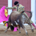 Albacete - Corrida de ASPRONA - Sábado 16 de junio de 2018