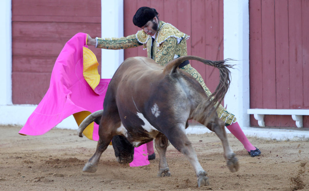 Albacete - Corrida de ASPRONA - Sábado 16 de junio de 2018