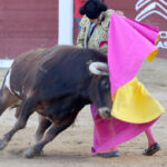 Albacete - Corrida de ASPRONA - Sábado 16 de junio de 2018