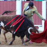 Albacete - Corrida de ASPRONA - Sábado 16 de junio de 2018