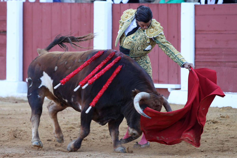 Albacete - Corrida de ASPRONA - Sábado 16 de junio de 2018