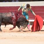 Istres (Francia) - Corrida de toros - Mañana - Domingo 17 de junio de 2018