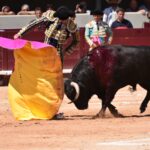 Istres (Francia) - Corrida de toros - Mañana - Domingo 17 de junio de 2018