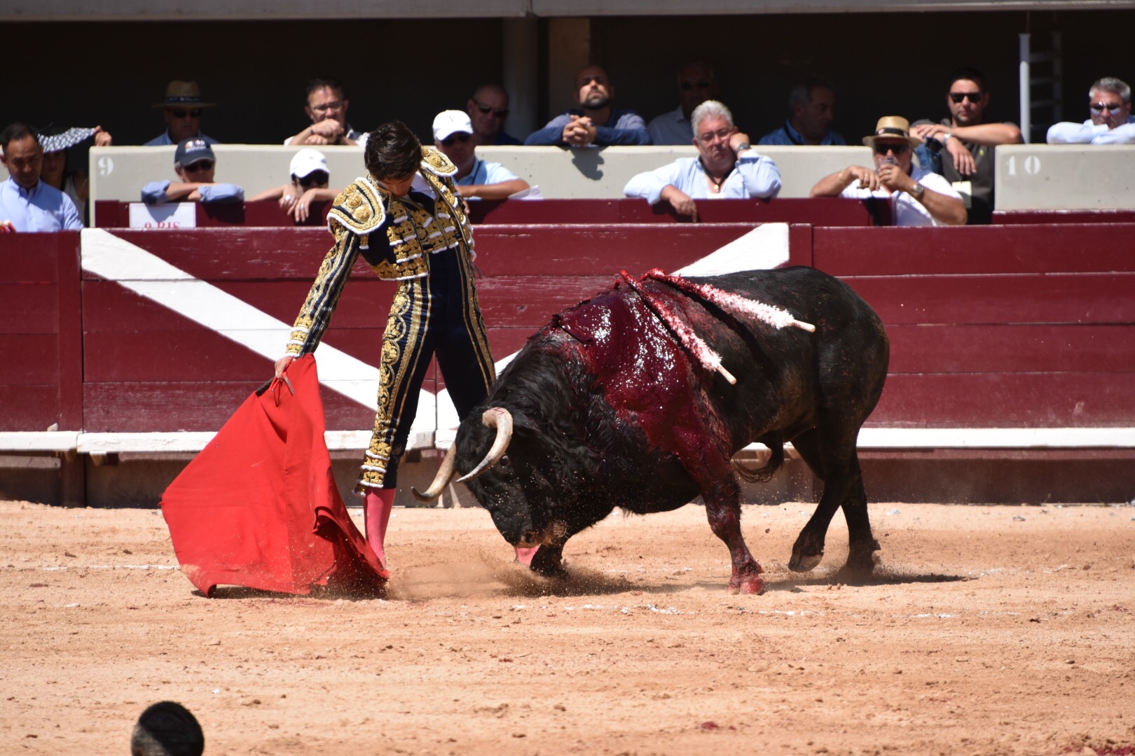 Istres (Francia) - Corrida de toros - Mañana - Domingo 17 de junio de 2018