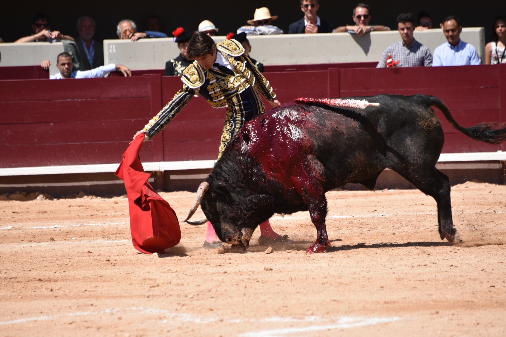 Istres (Francia) - Corrida de toros - Mañana - Domingo 17 de junio de 2018
