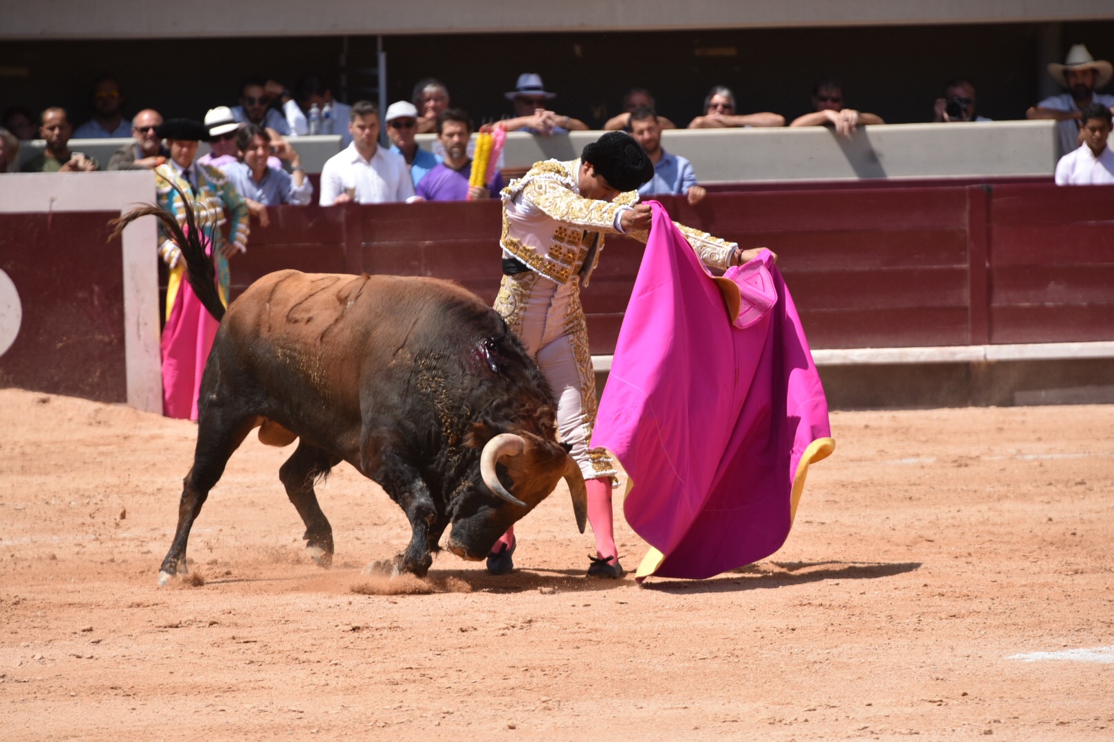 Istres (Francia) - Corrida de toros - Mañana - Domingo 17 de junio de 2018