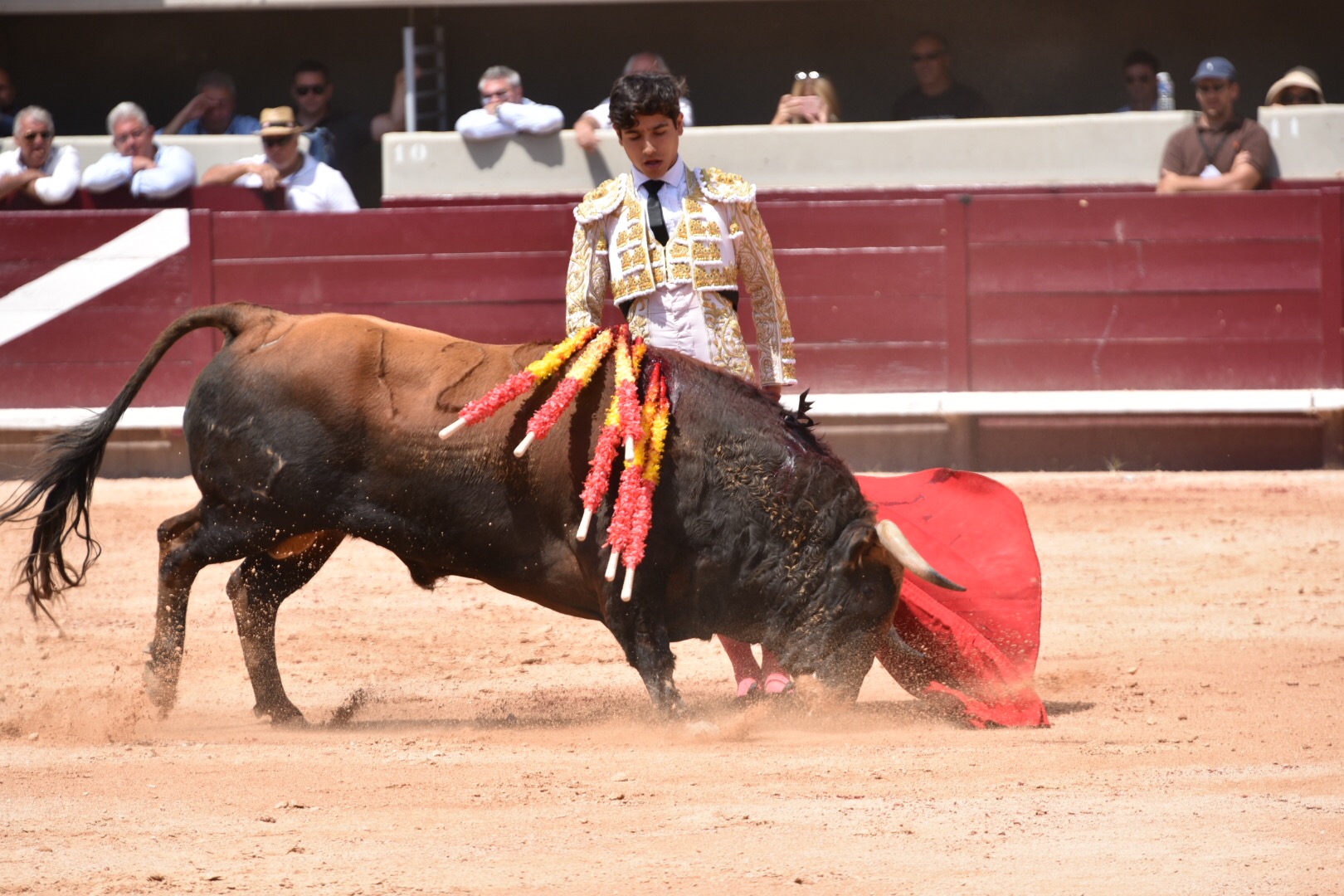 Istres (Francia) - Corrida de toros - Mañana - Domingo 17 de junio de 2018