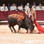 Istres (Francia) - Corrida de toros - Mañana - Domingo 17 de junio de 2018