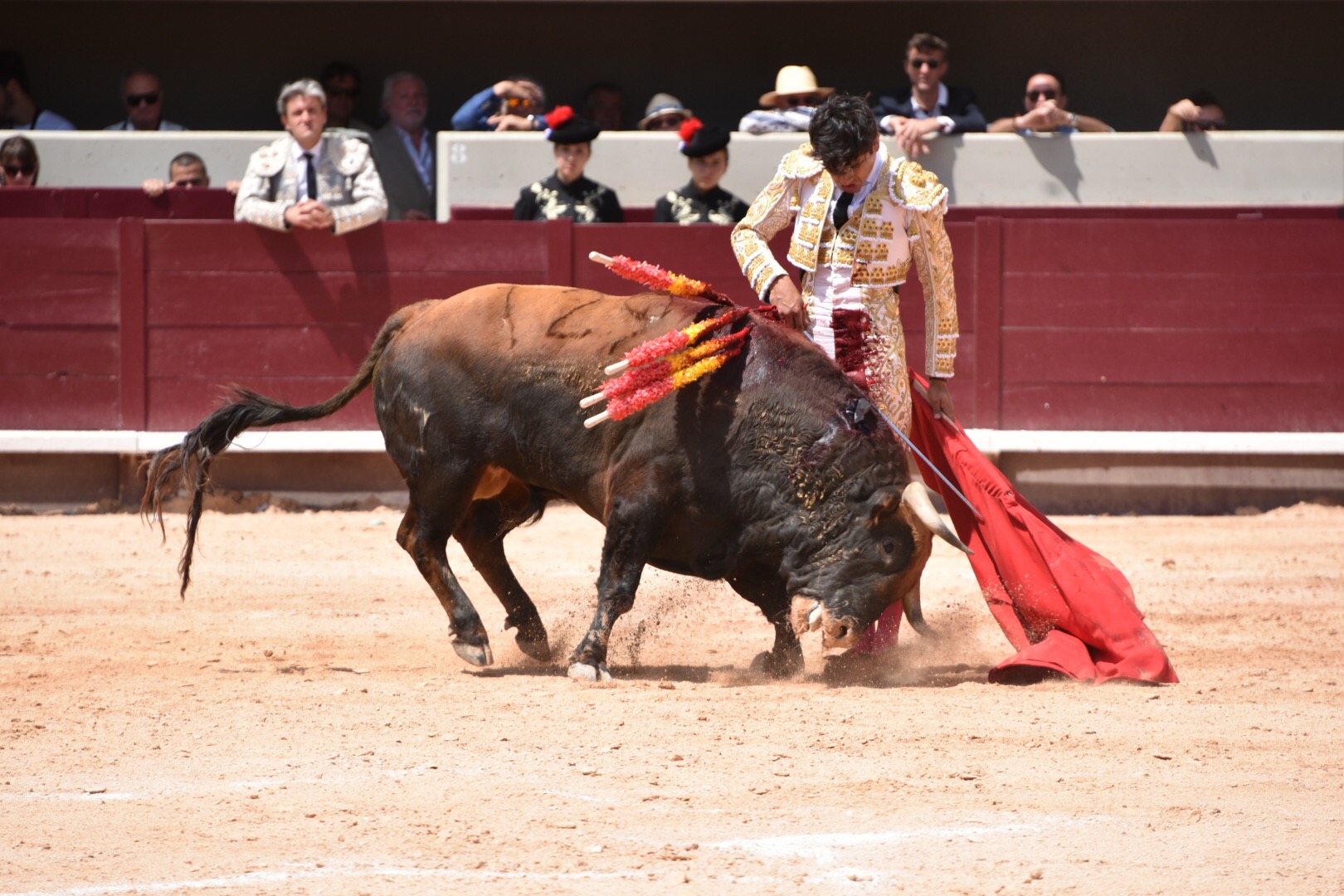Istres (Francia) - Corrida de toros - Mañana - Domingo 17 de junio de 2018