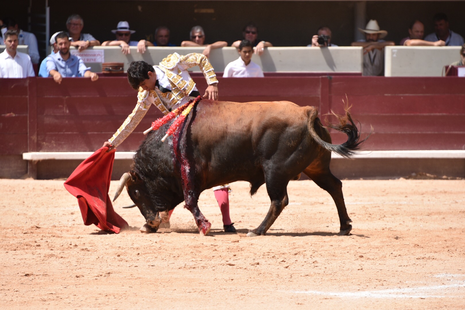 Istres (Francia) - Corrida de toros - Mañana - Domingo 17 de junio de 2018