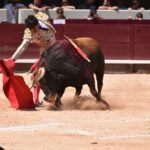 Istres (Francia) - Corrida de toros - Mañana - Domingo 17 de junio de 2018
