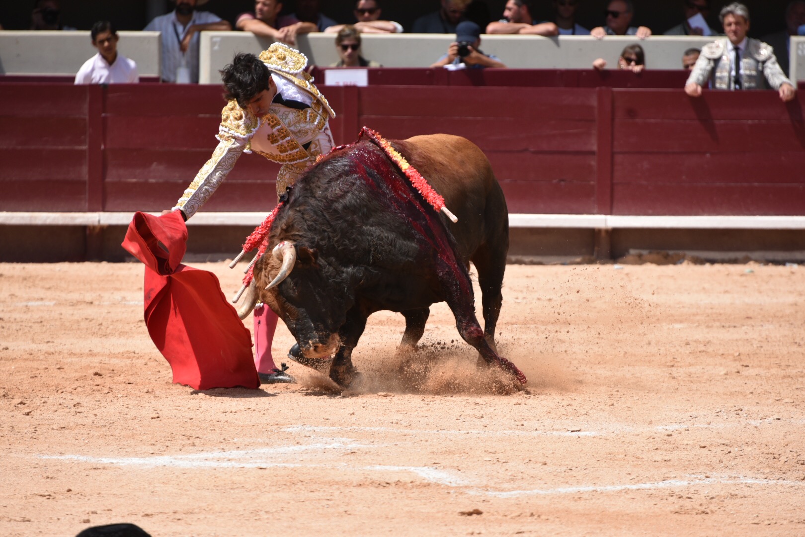 Istres (Francia) - Corrida de toros - Mañana - Domingo 17 de junio de 2018