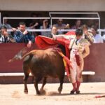 Istres (Francia) - Corrida de toros - Mañana - Domingo 17 de junio de 2018