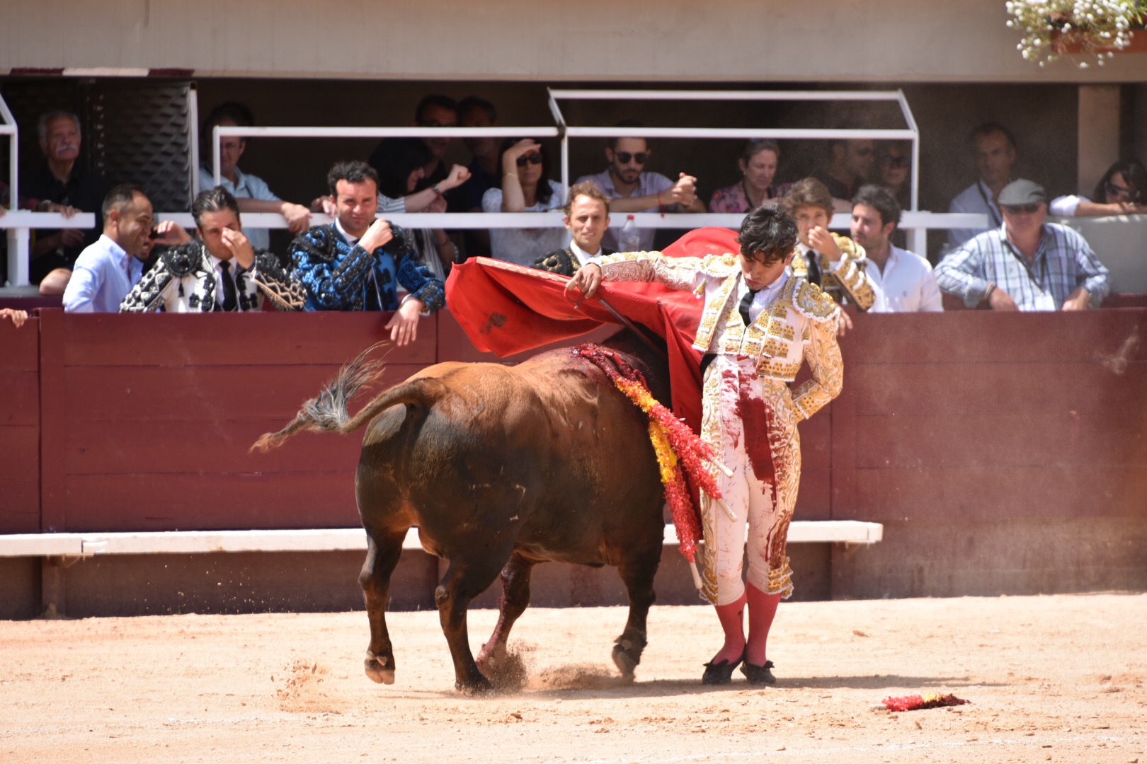 Istres (Francia) - Corrida de toros - Mañana - Domingo 17 de junio de 2018