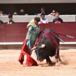 Istres (Francia) - Corrida de toros - Mañana - Domingo 17 de junio de 2018