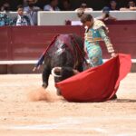Istres (Francia) - Corrida de toros - Mañana - Domingo 17 de junio de 2018