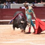Istres (Francia) - Corrida de toros - Mañana - Domingo 17 de junio de 2018