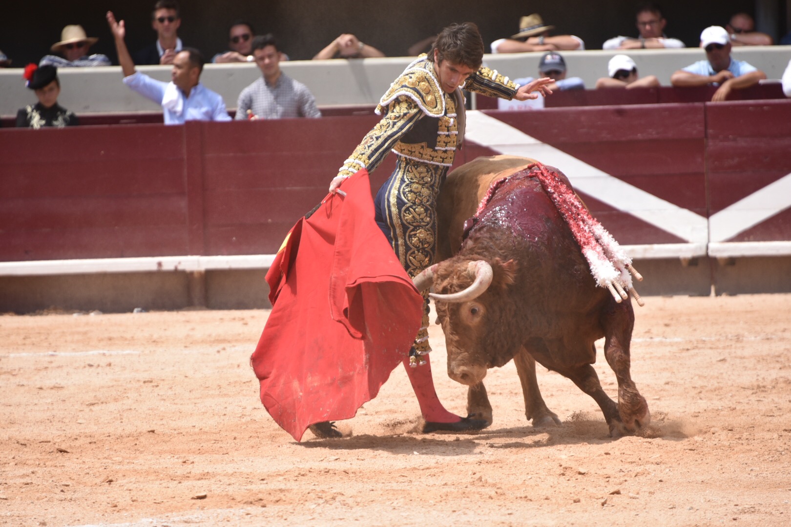 Istres (Francia) - Corrida de toros - Mañana - Domingo 17 de junio de 2018