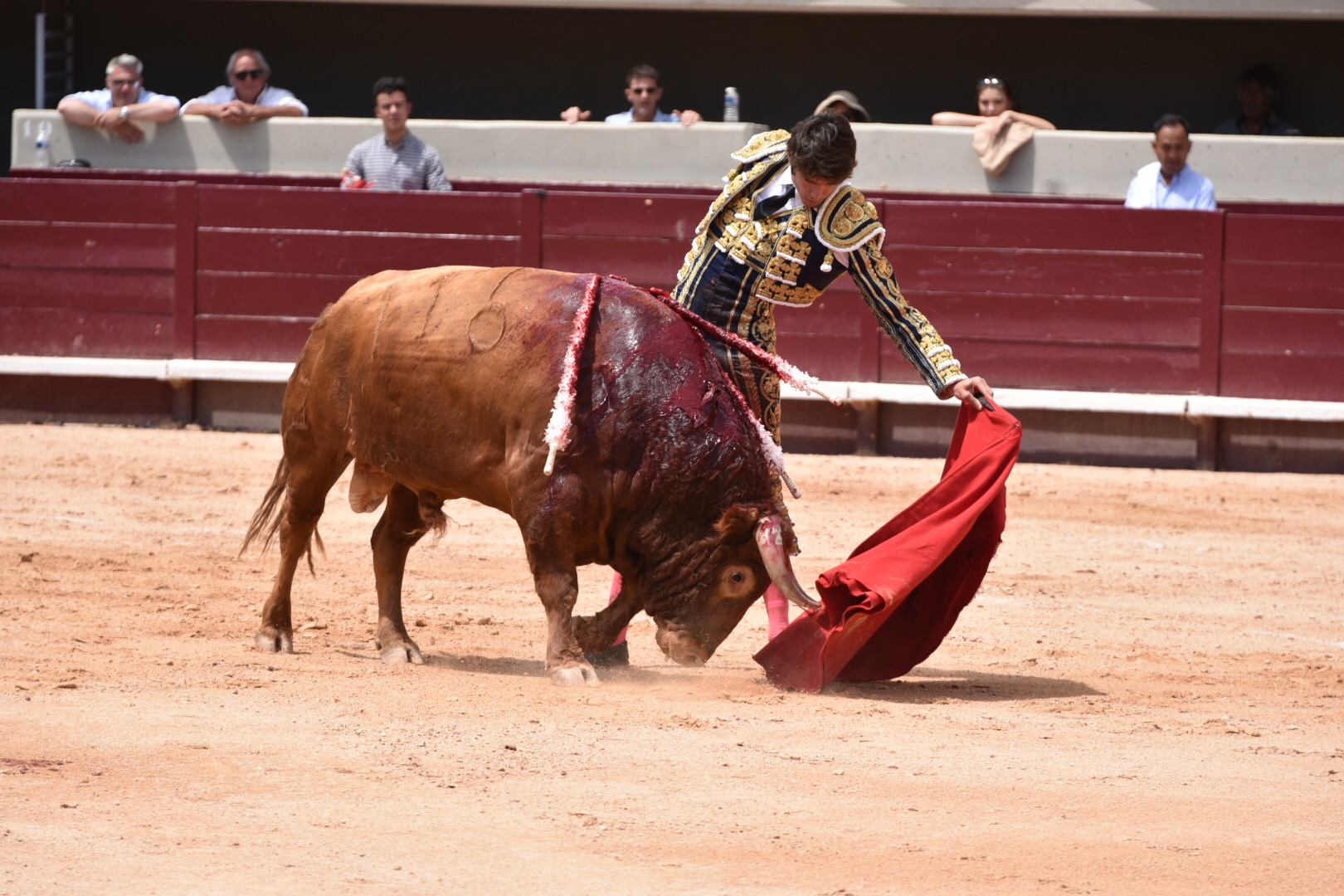 Istres (Francia) - Corrida de toros - Mañana - Domingo 17 de junio de 2018