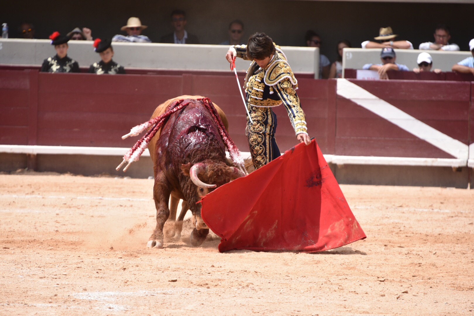 Istres (Francia) - Corrida de toros - Mañana - Domingo 17 de junio de 2018