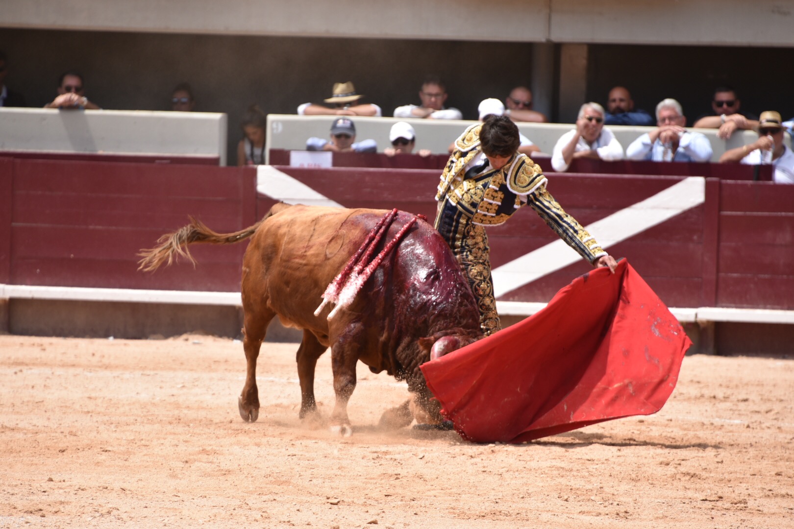 Istres (Francia) - Corrida de toros - Mañana - Domingo 17 de junio de 2018