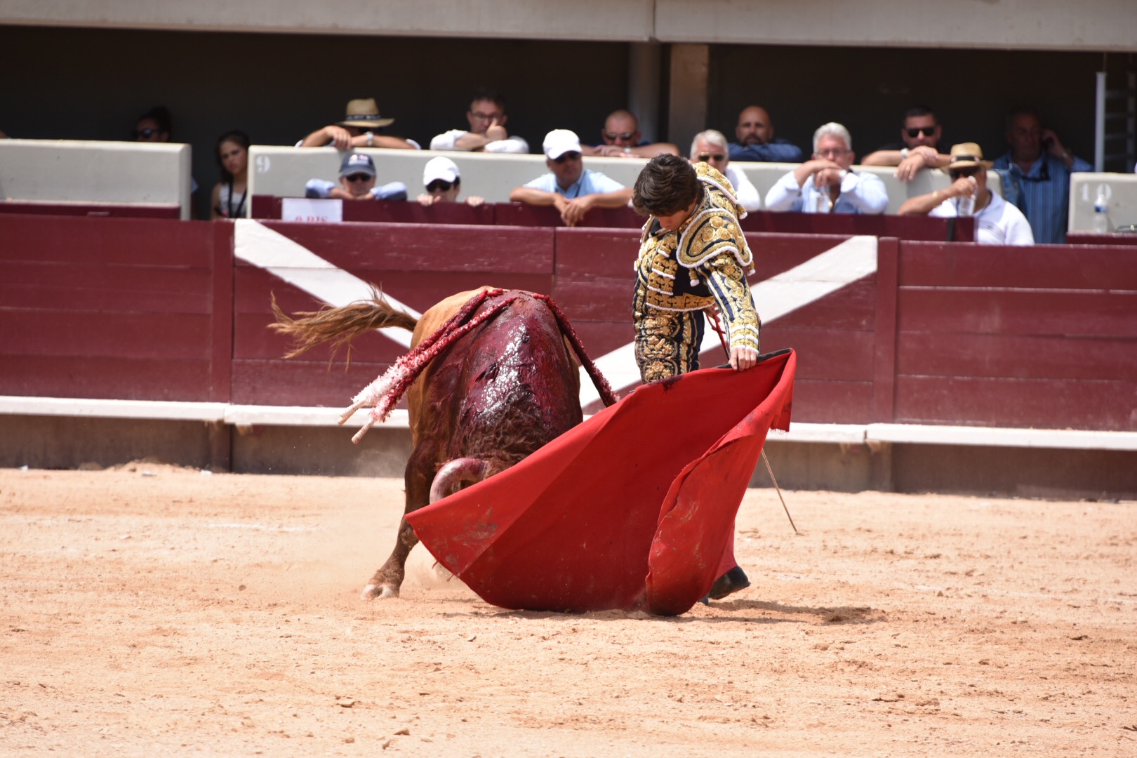 Istres (Francia) - Corrida de toros - Mañana - Domingo 17 de junio de 2018