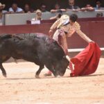 Istres (Francia) - Corrida de toros - Mañana - Domingo 17 de junio de 2018