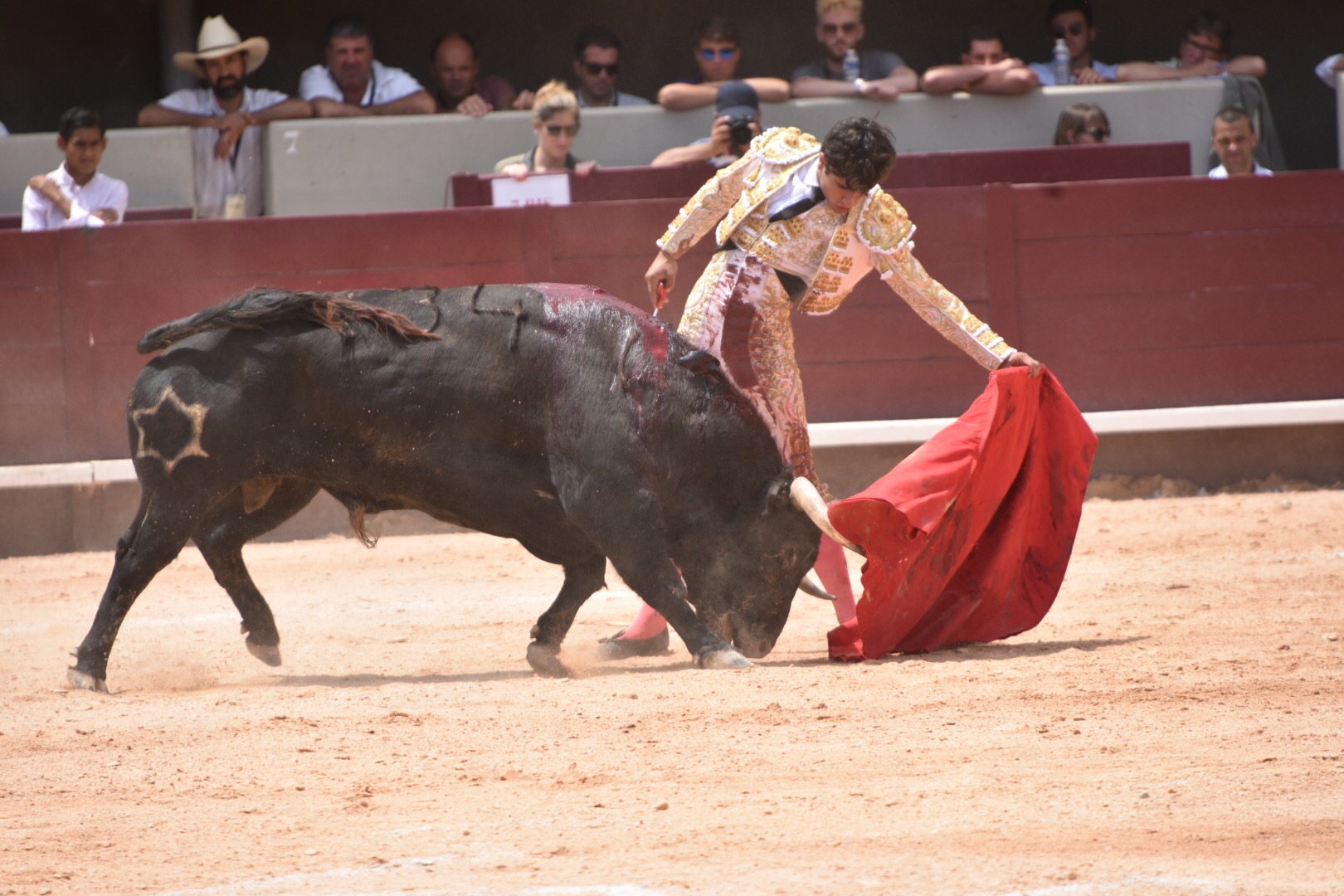 Istres (Francia) - Corrida de toros - Mañana - Domingo 17 de junio de 2018