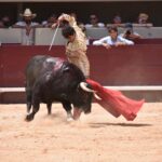 Istres (Francia) - Corrida de toros - Mañana - Domingo 17 de junio de 2018
