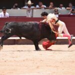 Istres (Francia) - Corrida de toros - Mañana - Domingo 17 de junio de 2018