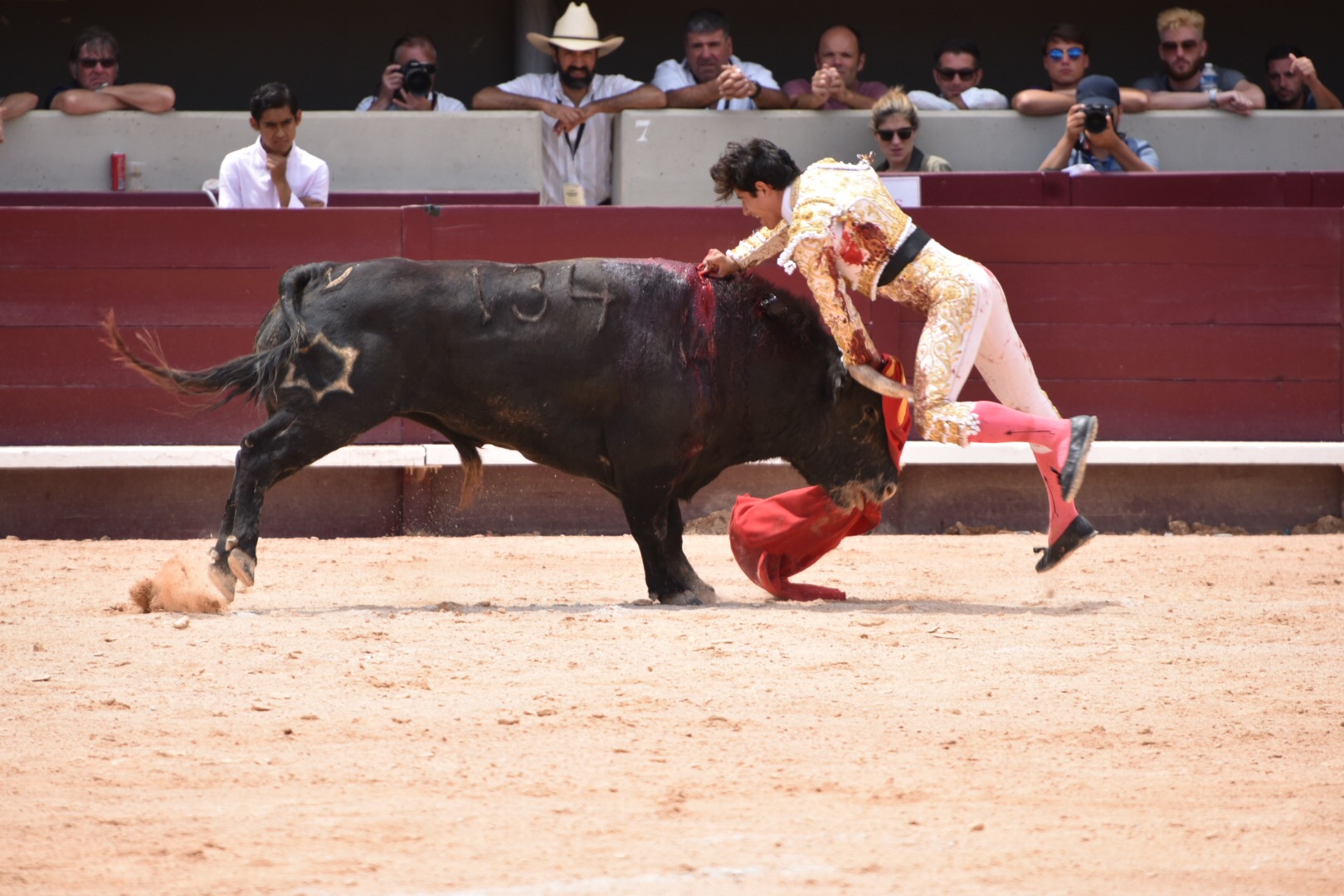 Istres (Francia) - Corrida de toros - Mañana - Domingo 17 de junio de 2018