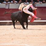 Istres (Francia) - Corrida de toros - Mañana - Domingo 17 de junio de 2018