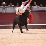 Istres (Francia) - Corrida de toros - Mañana - Domingo 17 de junio de 2018