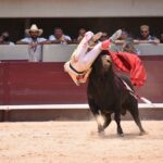 Istres (Francia) - Corrida de toros - Mañana - Domingo 17 de junio de 2018