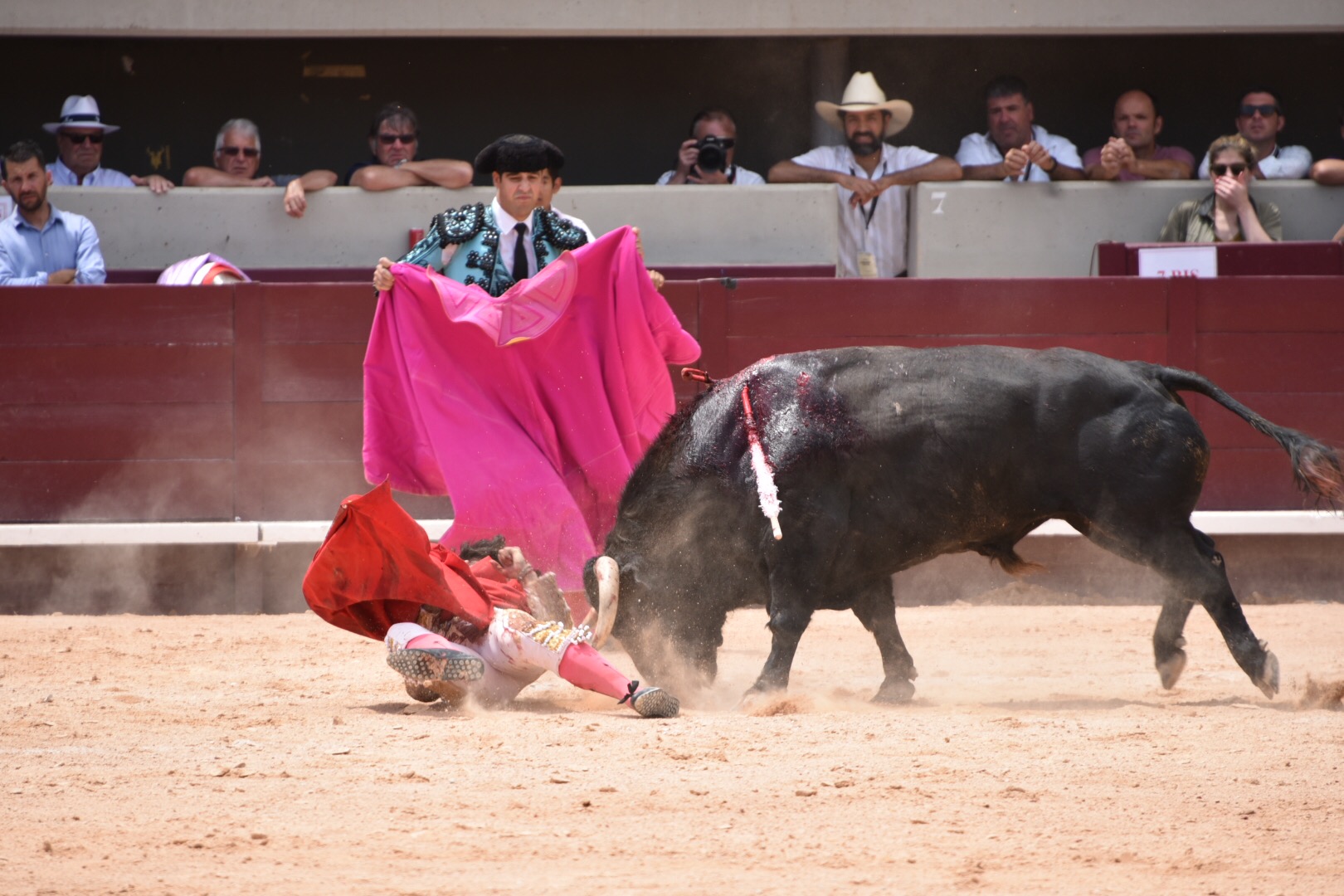 Istres (Francia) - Corrida de toros - Mañana - Domingo 17 de junio de 2018
