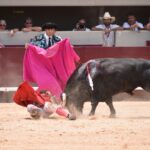 Istres (Francia) - Corrida de toros - Mañana - Domingo 17 de junio de 2018