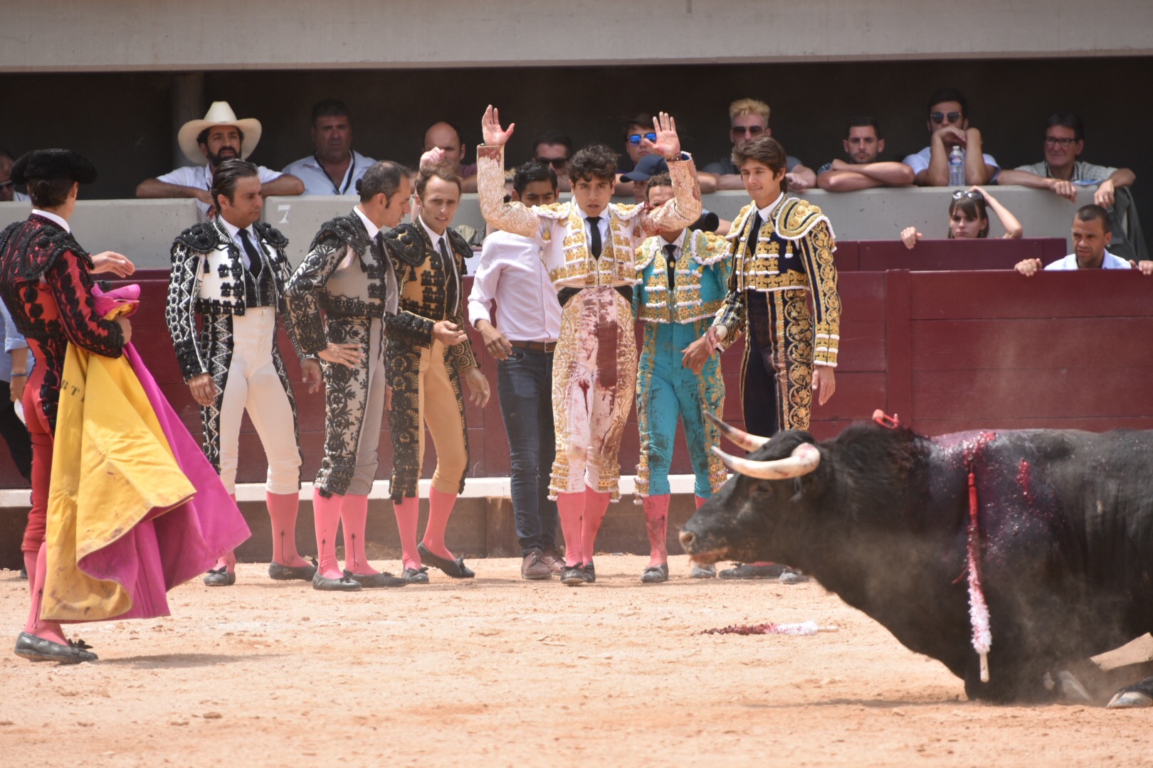 Istres (Francia) - Corrida de toros - Mañana - Domingo 17 de junio de 2018