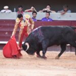 Istres (Francia) - Corrida de toros - Tarde - Domingo 17 de junio de 2018
